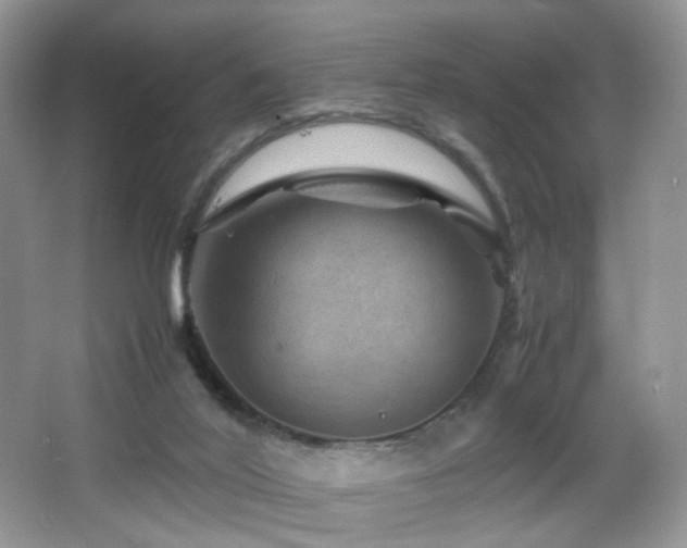 X0000065980020200603031206