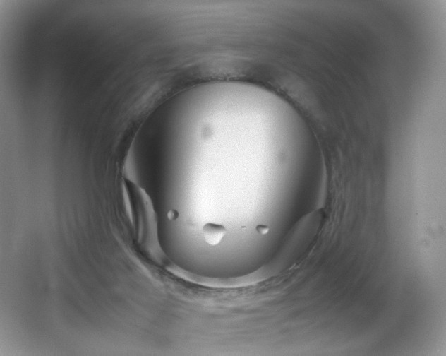 X0000065980021200603031206