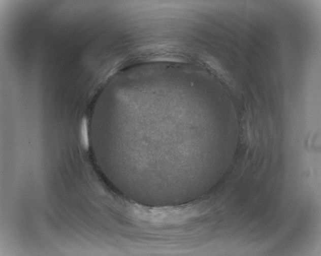 X0000065980022200603031206