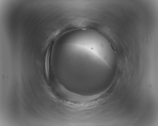 X0000065980023200603031206