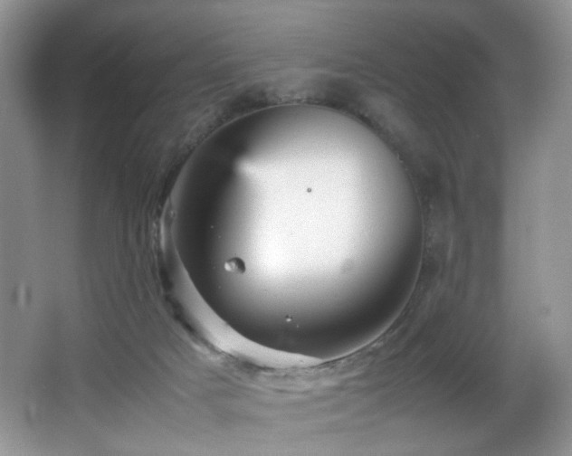 X0000065980025200603031206