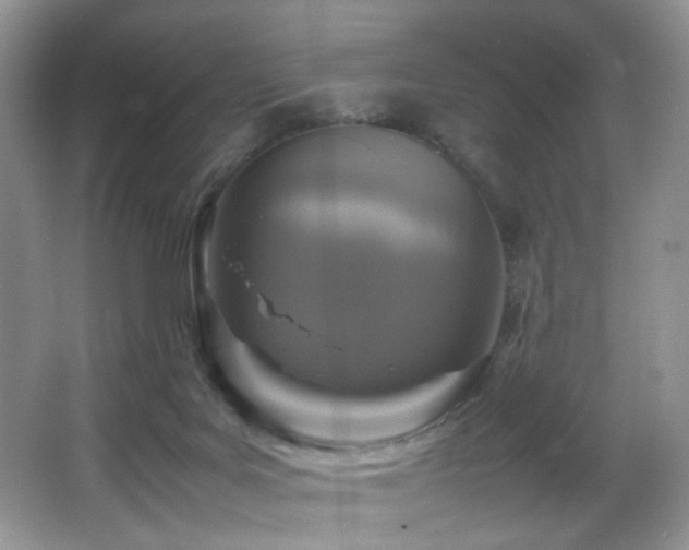 X0000065980027200603031206