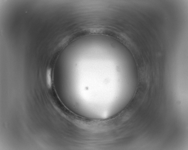 X0000065980028200603031206