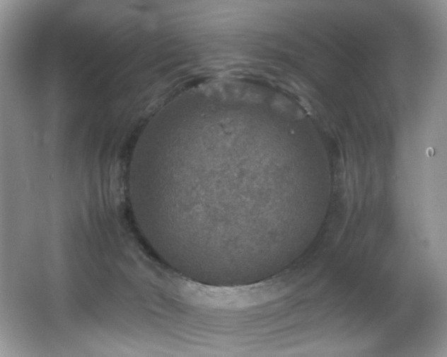 X0000065980030200603031206