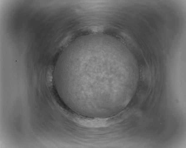 X0000065980032200603031206