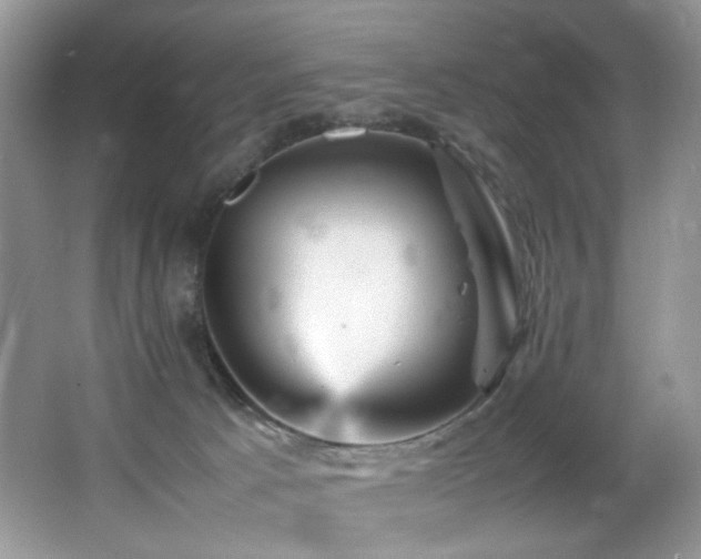 X0000065980033200603031206