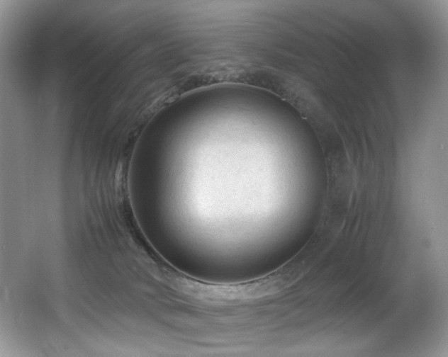 X0000065980034200603031206