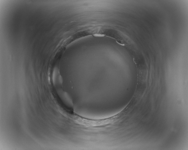 X0000065980035200603031206