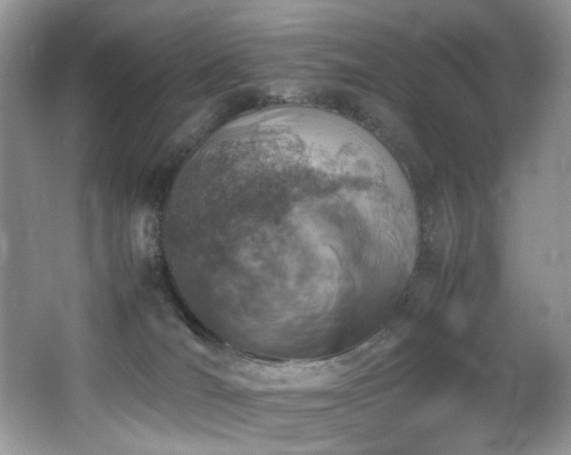 X0000065980036200603031206