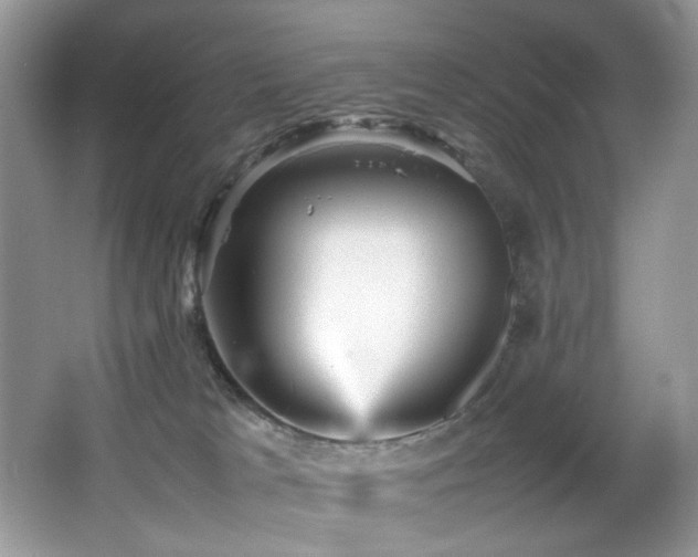 X0000065980037200603031206