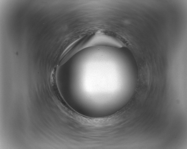 X0000065980038200603031206