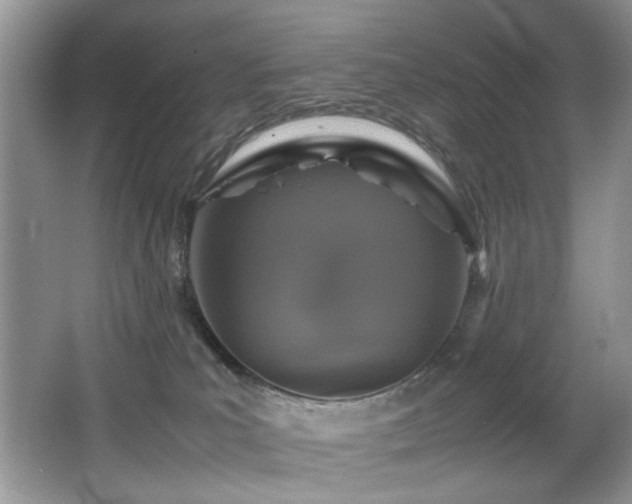 X0000065980039200603031206