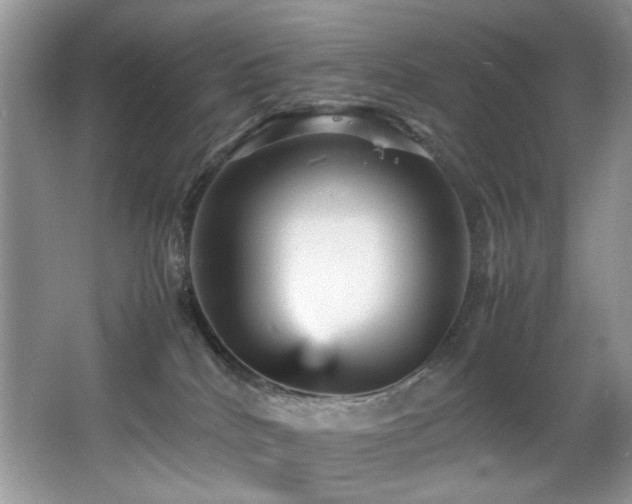 X0000065980040200603031206