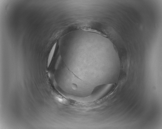 X0000065980041200603031206