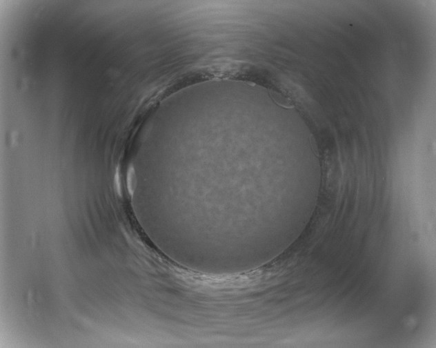 X0000065980042200603031206