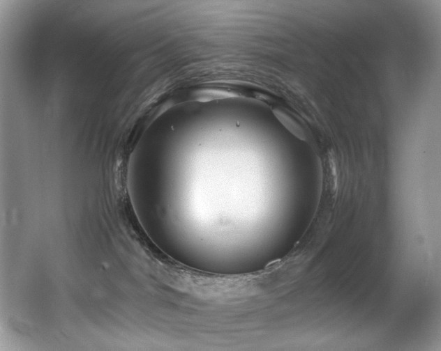 X0000065980044200603031206