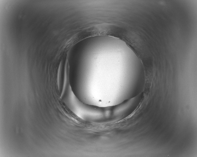 X0000065980045200603031206