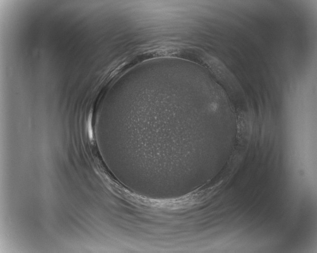 X0000065980046200603031206