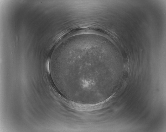 X0000065980047200603031206