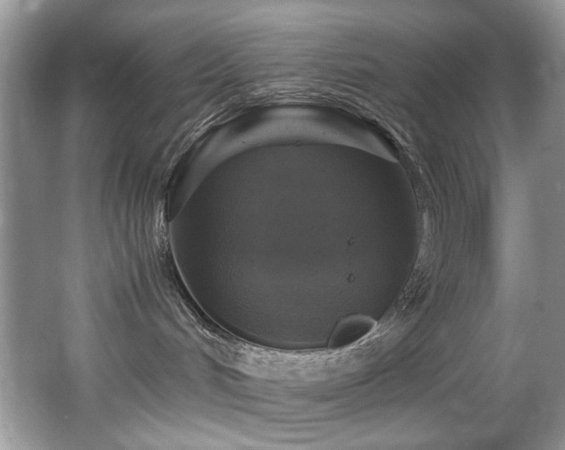 X0000065980048200603031206