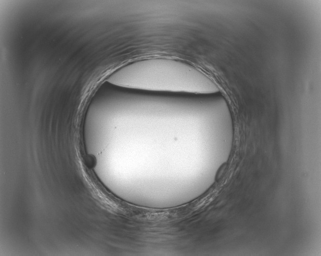 X0000065980049200603031205