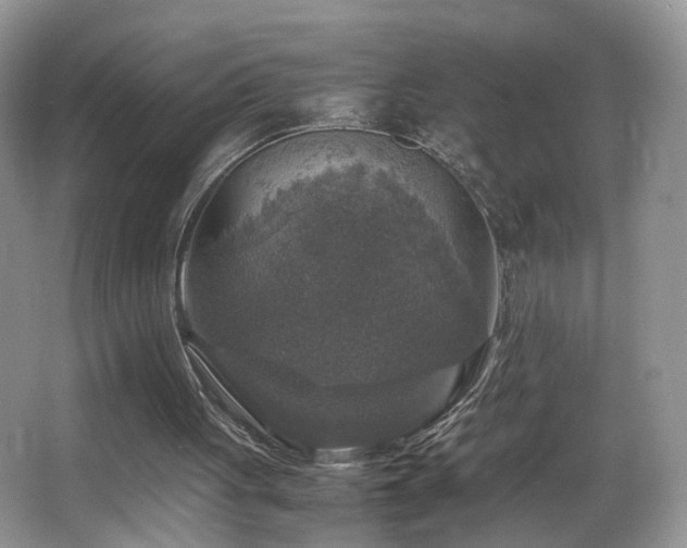 X0000065980051200603031205