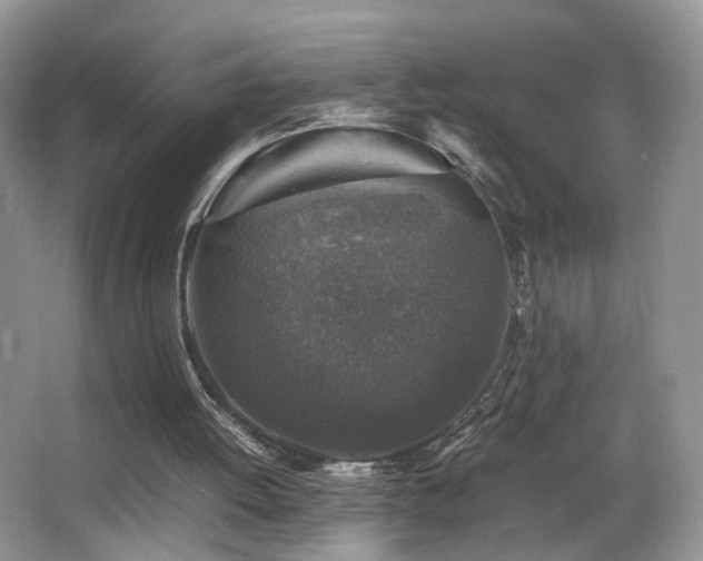 X0000065980052200603031205