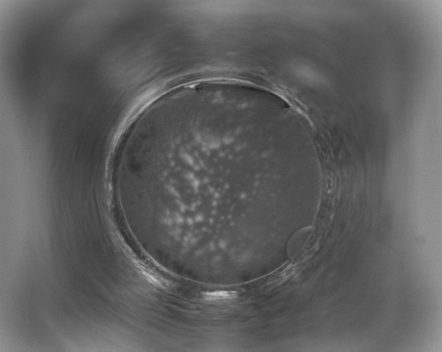 X0000065980053200603031205