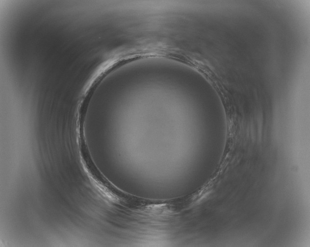 X0000065980054200603031205