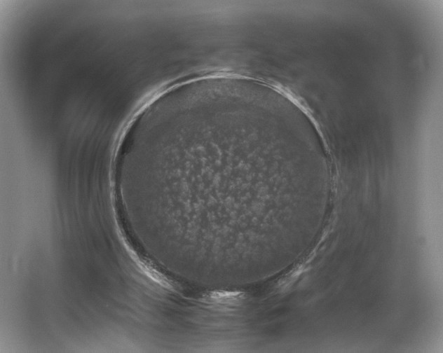 X0000065980055200603031205