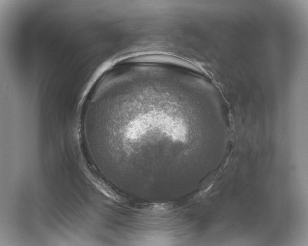 X0000065980056200603031205