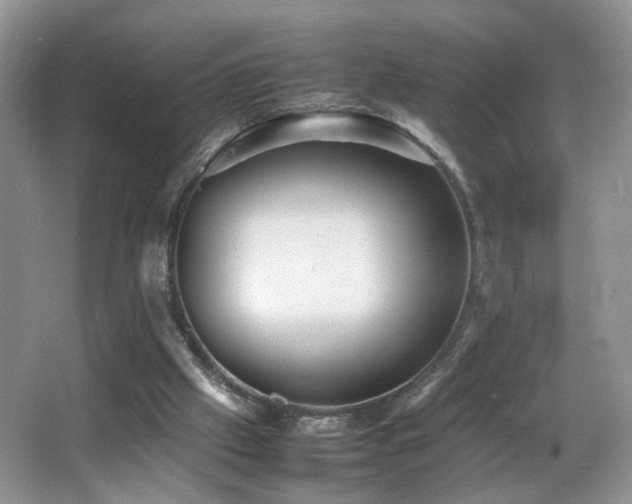 X0000065980057200603031205