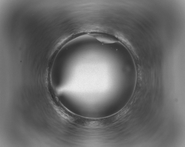 X0000065980058200603031205