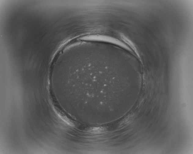 X0000065980059200603031205