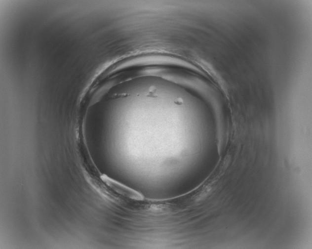 X0000065980060200603031205