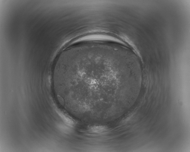 X0000065980063200603031205