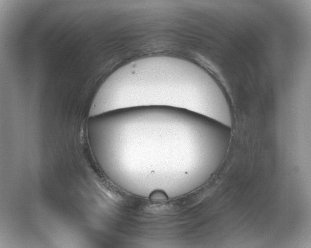 X0000065980065200603031205