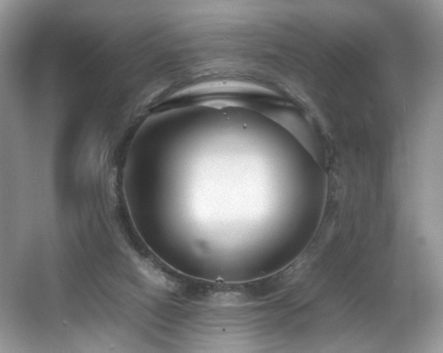 X0000065980066200603031205