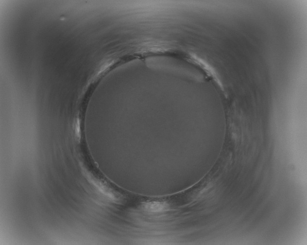 X0000065980067200603031205