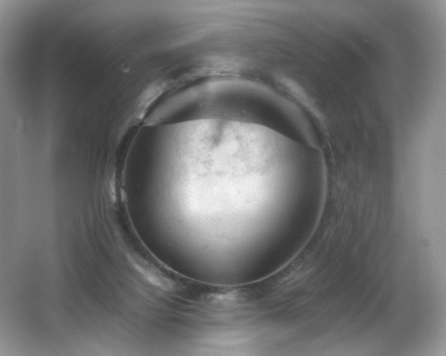 X0000065980068200603031205