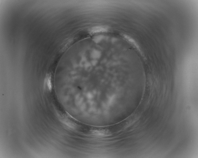 X0000065980069200603031205