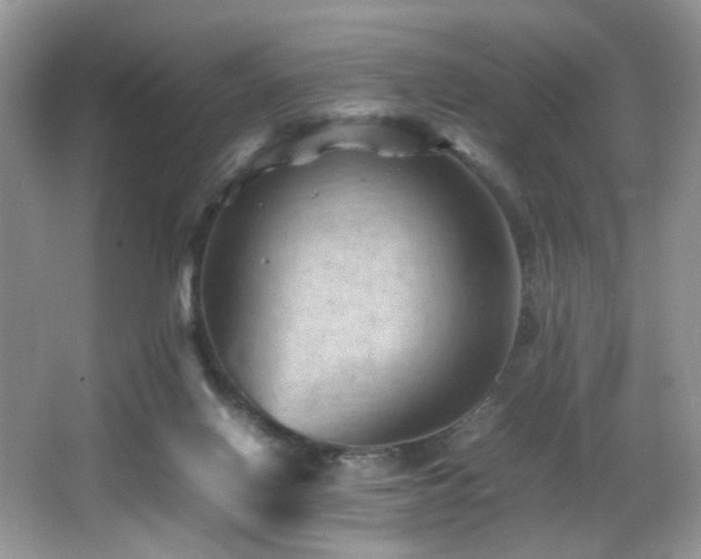 X0000065980070200603031205