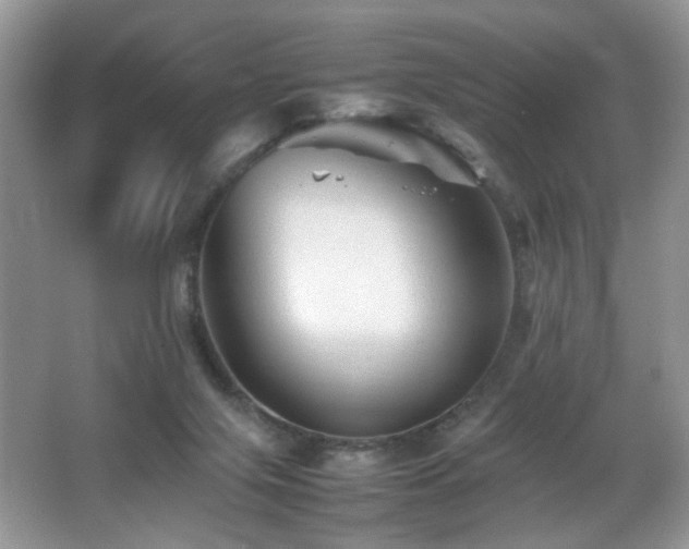 X0000065980071200603031205