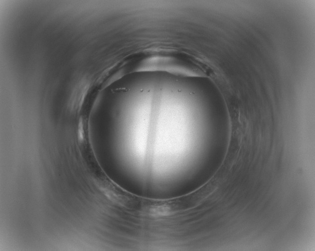 X0000065980075200603031205