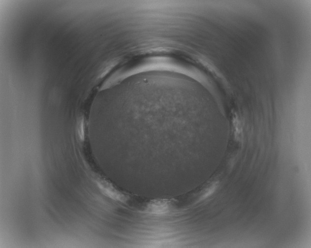 X0000065980076200603031206