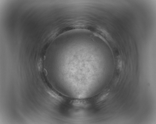 X0000065980077200603031206