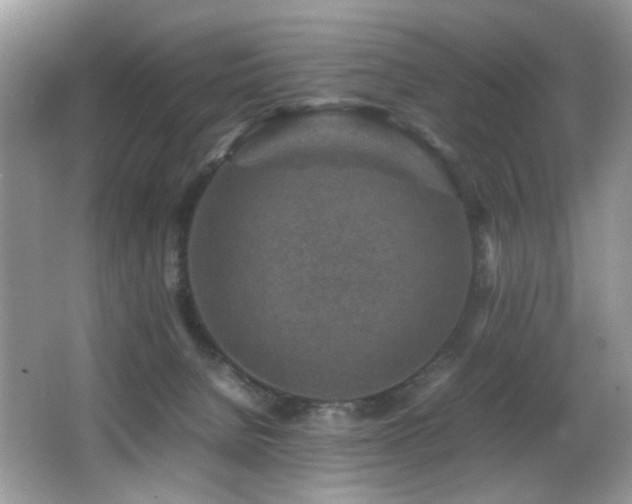 X0000065980080200603031206