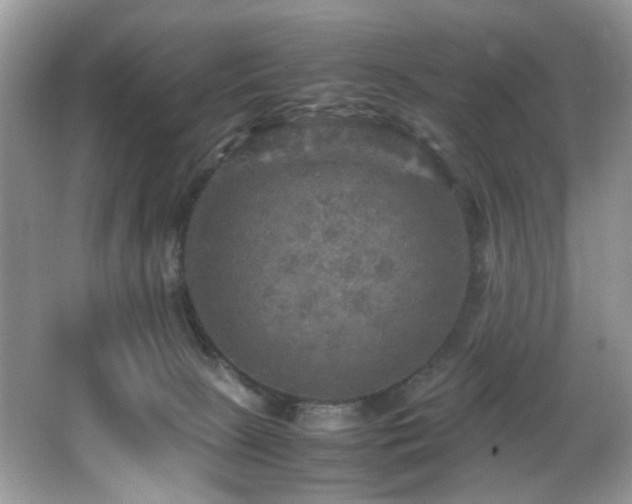 X0000065980081200603031206