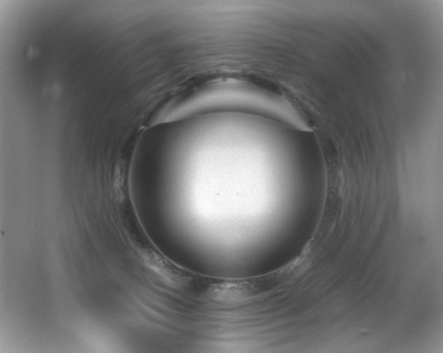 X0000065980082200603031206