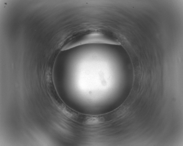 X0000065980083200603031206